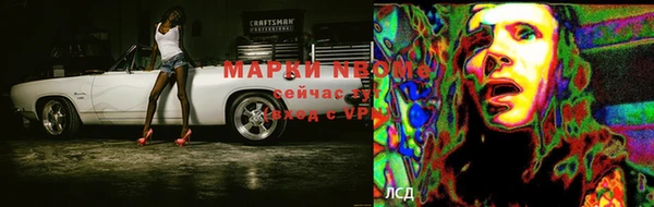 прущие грибы Алексеевка