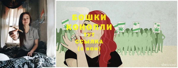 прущие грибы Алексеевка