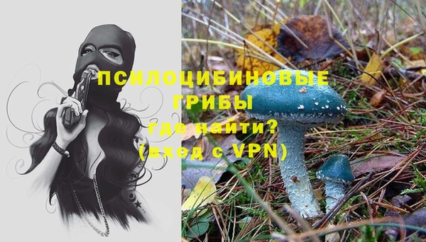 прущие грибы Алексеевка