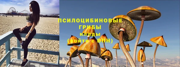 меф Алексин